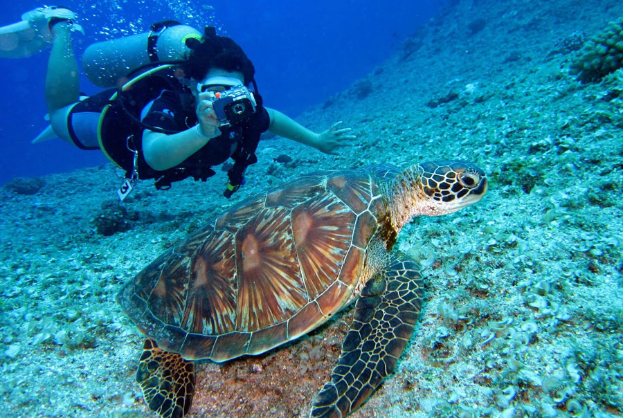 Дайвинг в Фетхие